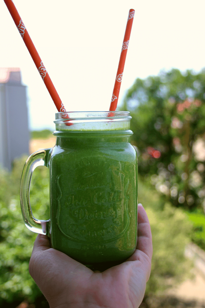 healthy smoothie recipes for fussy eaters