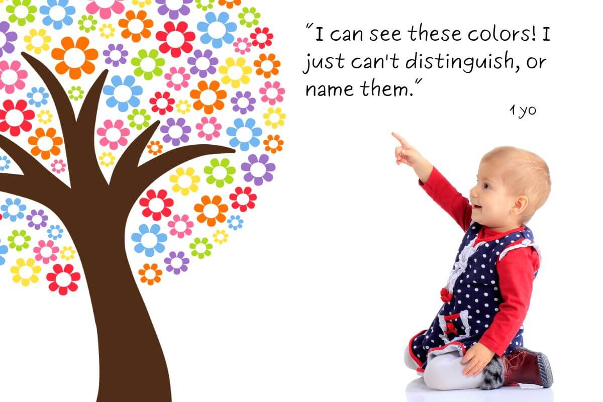 What Age Should Kids Know Colors 