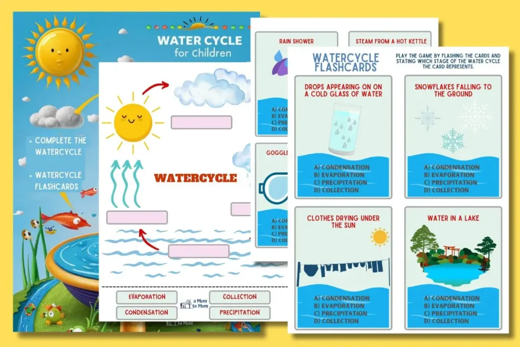 water cycle worksheets for kids